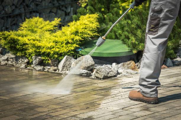 Best Fence Cleaning  in Hermantown, MN